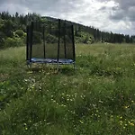 Dom wakacyjny золота рибка *