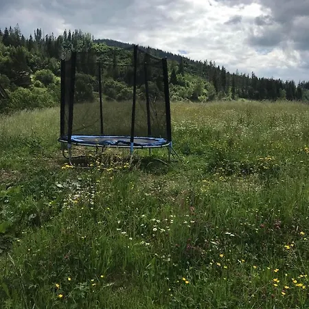 Holiday home золота рибка *