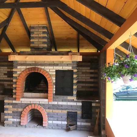 золота рибка *