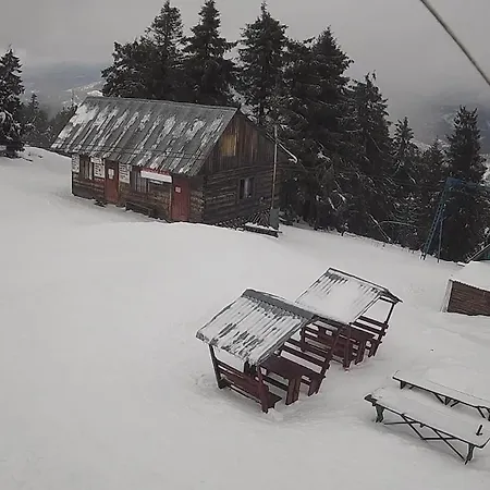 золота рибка Sławsko