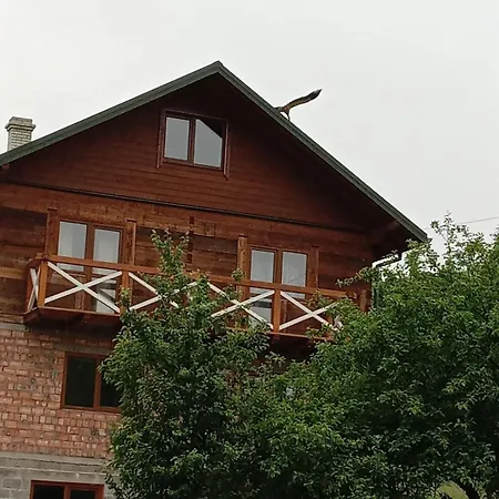 золота рибка Sławsko