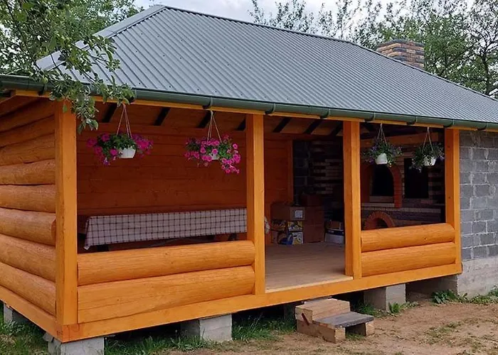 Tatil Evi золота рибка