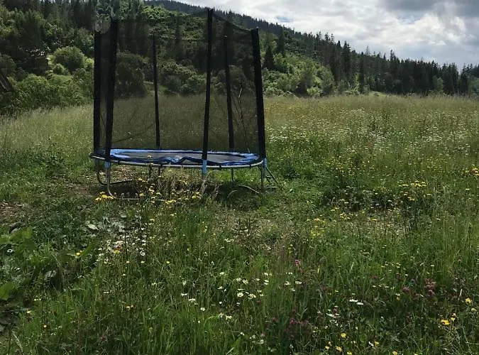 Nyaraló золота рибка *